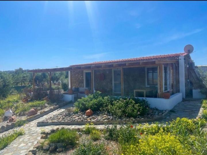 Kenny'S Villa Μαστιχάρι Εξωτερικό φωτογραφία